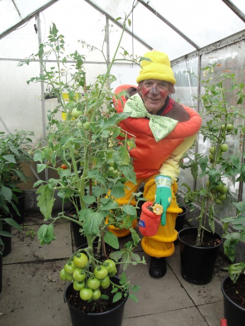Andy dressed up at allotment